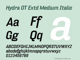 HydraOT-ExtdMediumItalic Version 7.504; 2010; Build 1022图片样张