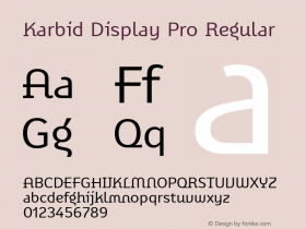 Karbid Display Pro Version 7.60图片样张