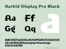 Karbid Display Pro Black Version 7.60图片样张