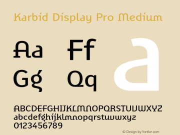 Karbid Display Pro Medium Version 7.60图片样张