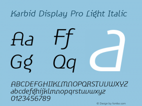 Karbid Display Pro Light Ita Version 7.60图片样张
