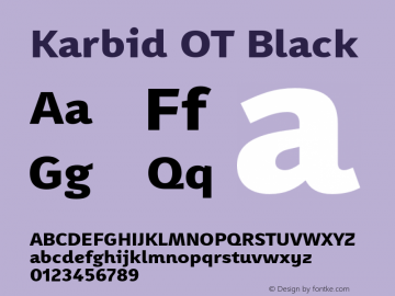 Karbid OT Black Version 7.60图片样张