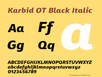 Karbid OT Black Italic Version 7.60图片样张