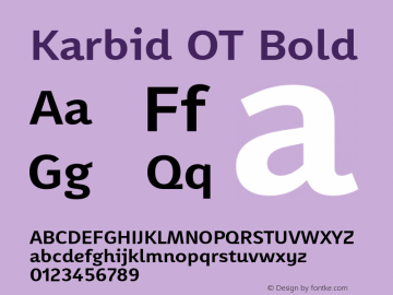 Karbid OT Bold Version 7.60图片样张