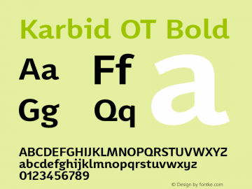 Karbid OT Bold Version 7.60图片样张