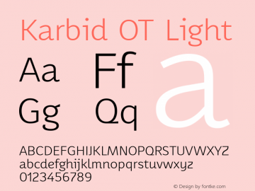 Karbid OT Light Version 7.60图片样张