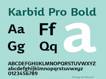 Karbid Pro Bold Version 7.60图片样张