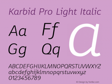 Karbid Pro Light Italic Version 7.60图片样张