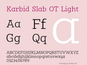 Karbid Slab OT Light Version 7.60图片样张