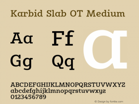 Karbid Slab OT Medium Version 7.60图片样张