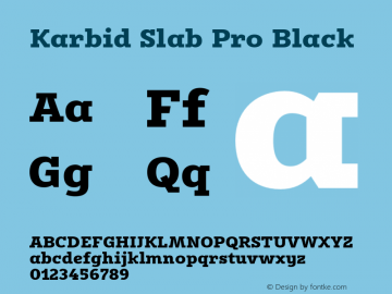 Karbid Slab Pro Black Version 7.60图片样张