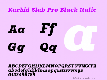 Karbid Slab Pro Black Italic Version 7.60图片样张