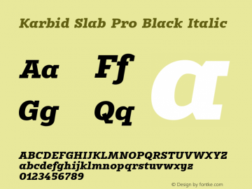 Karbid Slab Pro Black Italic Version 7.60图片样张