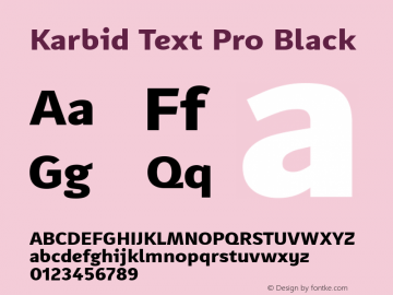 Karbid Text Pro Black Version 7.60图片样张