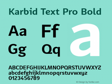 Karbid Text Pro Bold Version 7.60图片样张