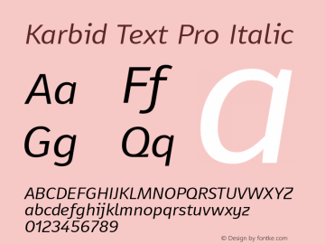 Karbid Text Pro Italic Version 7.60图片样张