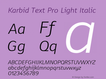 Karbid Text Pro Light Italic Version 7.60图片样张