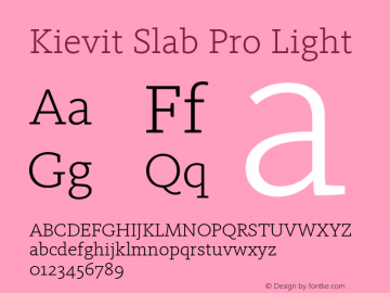 Kievit Slab Pro Light Version 7.600, build 1030, FoPs, FL 5.04图片样张