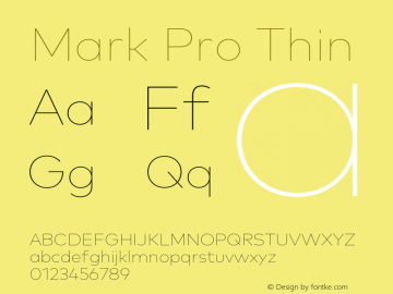 Mark Pro Thin Version 7.60图片样张