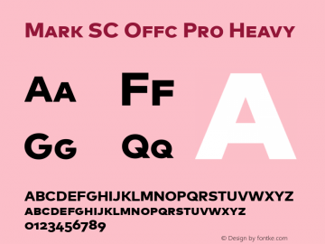 Mark SC Offc Pro Heavy Version 7.504; 2013; Build 1022图片样张