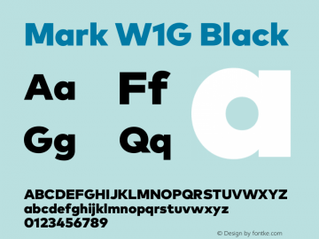 Mark W1G Black Version 1.00, build 8, g2.6.4 b1272, s3图片样张