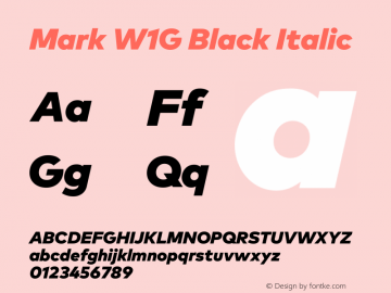 Mark W1G Black Italic Version 1.00, build 8, g2.6.4 b1272, s3图片样张