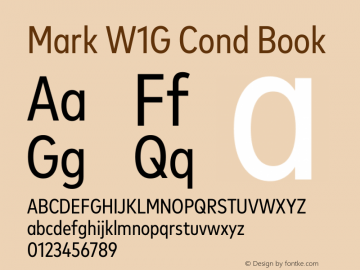 Mark W1G Cond Book Version 1.00, build 9, g2.6.4 b1272, s3图片样张