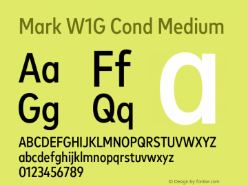 Mark W1G Cond Medium Version 1.00, build 9, g2.6.4 b1272, s3图片样张