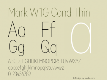 Mark W1G Cond Thin Version 1.00, build 9, g2.6.4 b1272, s3图片样张