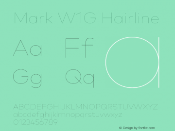 Mark W1G Hairline Version 1.00, build 8, g2.6.4 b1272, s3图片样张