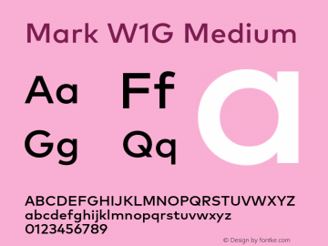 Mark W1G Medium Version 1.00, build 8, g2.6.4 b1272, s3图片样张