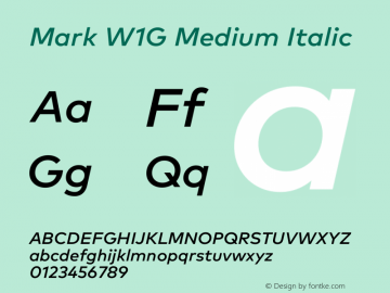 Mark W1G Medium Italic Version 1.00, build 8, g2.6.4 b1272, s3图片样张