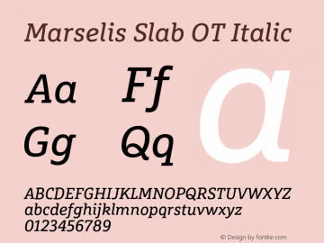 Marselis Slab OT Italic Version 7.504; 2013; Build 1034图片样张