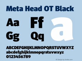 Meta Head OT Black Version 7.600, build 1027, FoPs, FL 5.04图片样张