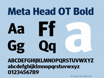 Meta Head OT Bold Version 7.600, build 1027, FoPs, FL 5.04图片样张