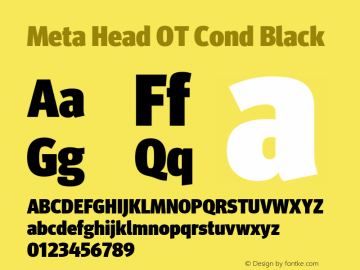 Meta Head OT Cond Black Version 7.600, build 1027, FoPs, FL 5.04图片样张