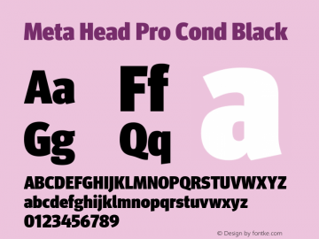 Meta Head Pro Cond Black Version 7.600, build 1027, FoPs, FL 5.04图片样张