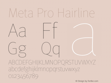 Meta Pro Hairline Version 7.600, build 1027, FoPs, FL 5.04图片样张