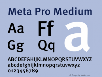Meta Pro Medium Version 7.600, build 1027, FoPs, FL 5.04图片样张