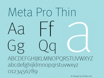 Meta Pro Thin Version 7.600, build 1027, FoPs, FL 5.04图片样张