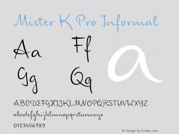 Mister K Pro Informal Version 7.504; 2011; Build 1034图片样张