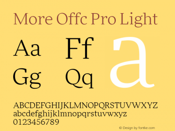 More Offc Pro Light Version 7.504; 2010; Build 1021图片样张