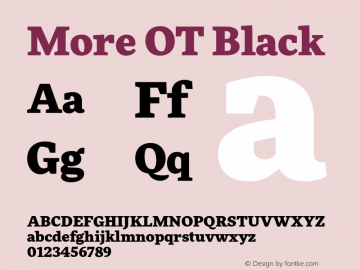 MoreOT-Black Version 7.504; 2010; Build 1002图片样张