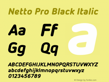 Netto Pro Black Italic Version 7.600, build 1027, FoPs, FL 5.04图片样张