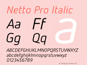 Netto Pro Italic Version 7.600, build 1027, FoPs, FL 5.04图片样张