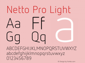 Netto Pro Light Version 7.600, build 1027, FoPs, FL 5.04图片样张