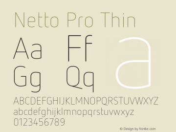 Netto Pro Thin Version 7.600, build 1027, FoPs, FL 5.04图片样张