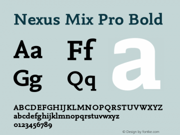 Nexus Mix Pro Bold Version 7.600, build 1027, FoPs, FL 5.04图片样张