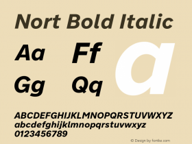 Nort Bold Italic Version 7.70图片样张