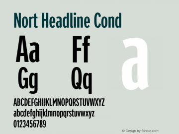 Nort Headline Cond Version 1.00图片样张